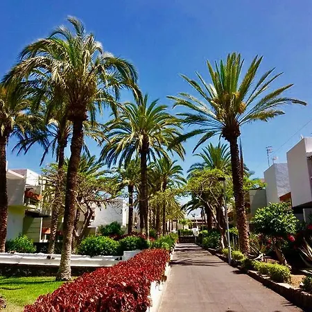 Tenerife Oasis Palm * طوستا ديل سيلونثيو